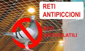 Reti antipiccione